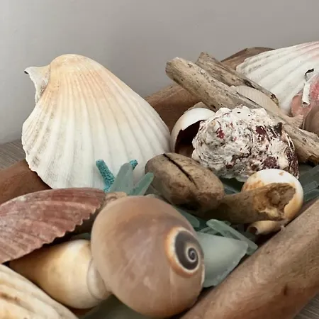 Apartman Kochyli Aszproválta